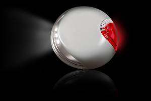 NEW Classic Gurt-Leine rot 5 m