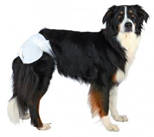 Hundewindeln für Weibchen 1 Stück Inkontinenz,Nacht