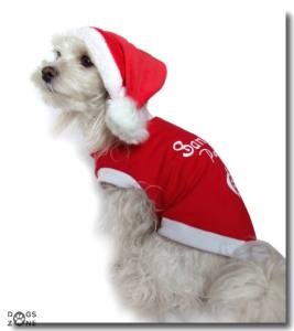 Nikolaus Mütze Hundemütze Dogszone