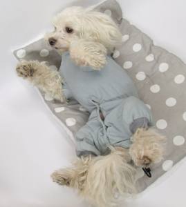 OP HEMD  BODY mit Hinterbeinen für Hunde