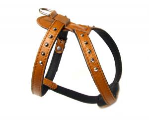 De Luxe 2 Hunde Leder-NIETEN-Geschirr  verstellbar 55-62cm