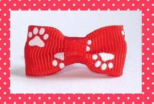 Mini Schleife für Welpen und kleine Hunde PAW