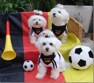 Hunde Fussball T-Shirt Trikot DEUTSCHLAND  SMALL DOG