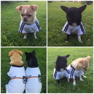 Hunde Fussball T-Shirt Trikot DEUTSCHLAND  SMALL DOG