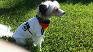 Hunde Fussball T-Shirt Trikot DEUTSCHLAND  SMALL DOG