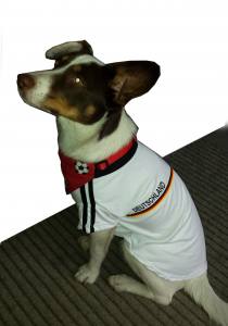 Hunde Fussball T-Shirt Trikot DEUTSCHLAND  SMALL DOG