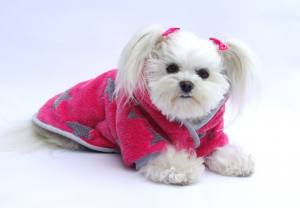 Doppelseitiger Bademantel für Hunde PINK STERNCHEN