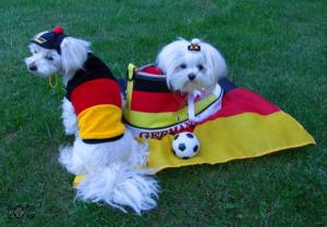 Hunde Fussball  Sweatschirt FLAGGE DEUTSCHLAND