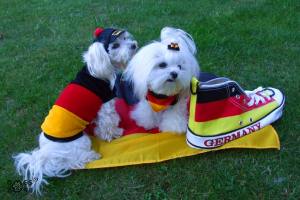 Hunde Fussball  Sweatschirt FLAGGE DEUTSCHLAND