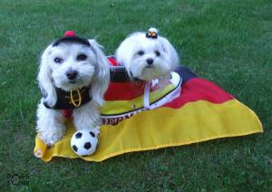 Hunde Fussball  Sweatschirt FLAGGE DEUTSCHLAND