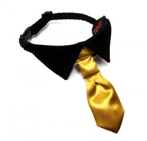 Hundekragen Hundekrawatte auf Halsband  BLACK CRAZY