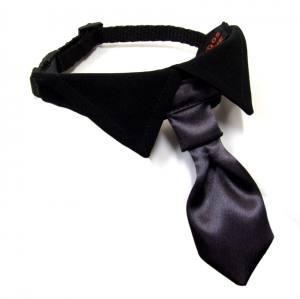 Hundekragen Hundekrawatte auf Halsband  BLACK CRAZY