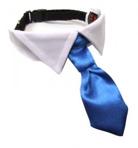 Hundekragen Hundekrawatte auf Halsband  WHITE CRAZY