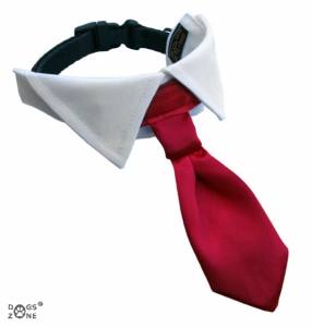 Hundekragen Hundekrawatte auf Halsband  WHITE CRAZY