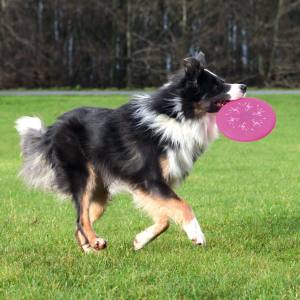 Hunde Flash Dog Disc, Silikon blinkt mit Licht