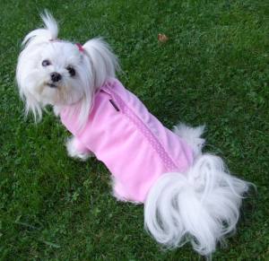 OP Body Hunde Body EXTRA für Weibchen aus Nicki ROSA