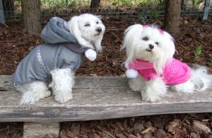 Hundejacke,Winterjacke mit Schal NESNA PINK