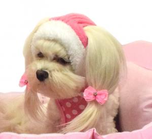 Hundejacke,Winterjacke mit Schal NESNA PINK
