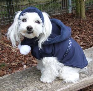 Hundejacke,Winterjacke mit Schal NESNA DARK BLUE RESTPOSTEN