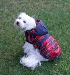 Hundejacke,Winterjacke RED-BLAU KARO