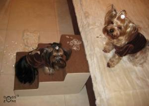 Ersatzbezug für Dogszone Hundetreppe VICTORIA Gr.S/3