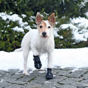 Hunde SCHUHE Walker Active 2 stück Packung