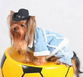 Hunde Hut  BIG Cowboy Gr.2