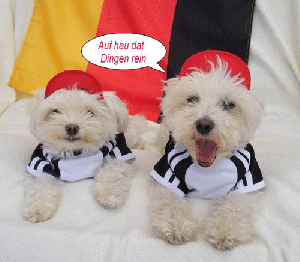 Halstuch/Halsband 2 in 1 BLACK FOOTBALL