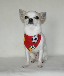 Halstuch/Halsband 2 in 1 RED FOOTBALL