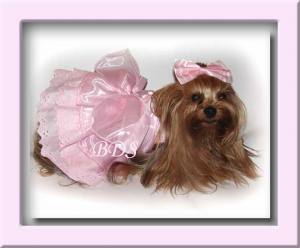 Hunde Party Kleid ANABELL