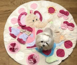 BÄR / ELEFANT Schnüffelteppich Spielteppich für Hunde,Katzen,Welpen
