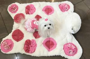 BÄR /pinkSchnüffelteppich Spielteppich für Hunde,Katzen,Welpen