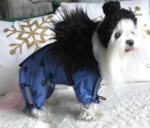 *TAMPERE *Hunde Winteranzug mit Geschirr kurze Beine RESTPOSTEN