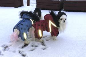 *TAMPERE *Hunde Winteranzug mit Geschirr kurze Beine RESTPOSTEN