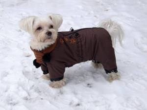 *BROWN PAWS * Wintermantel mit Schal und D-Ring,kurze Beine für Hunde
