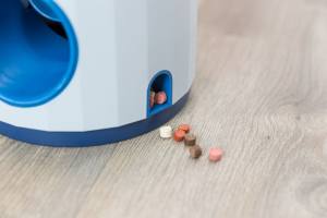 Hunde Spielzeug Ball & Treat Level 3
