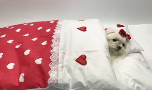 Hunde Bettdecke mit Kissen LITTLE RED HEART HANDMADE