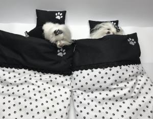 Hunde Bettdecke mit Kissen PFOTEN
