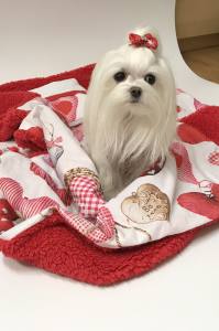 3 teile Bettdecke mit Kissen,Decke Weihnachten BIG HEART