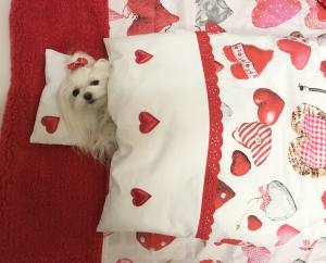 3 teile Bettdecke mit Kissen,Decke Weihnachten BIG HEART