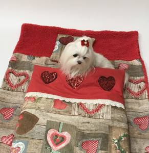 3 teile Hunde Bettdecke mit Kissen,Decke Weihnachten Herzen