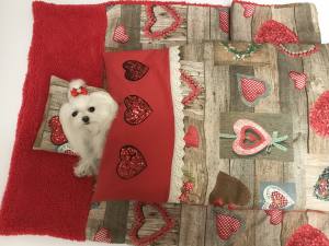 3 teile Hunde Bettdecke mit Kissen,Decke Weihnachten Herzen