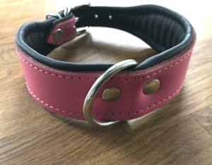 Breites Lederhalsband 