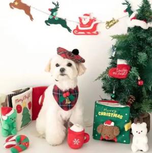 Buch Christmas Schnüffelspiel Hunde,Katzen