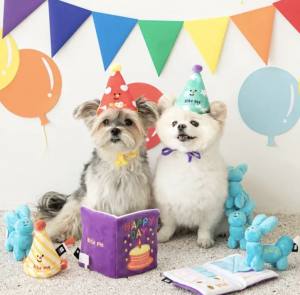 Buch Happy DAY Mini  Schnüffelspiel Hunde,Katzen