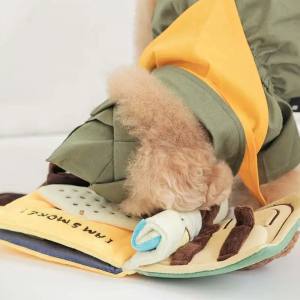 Buch SCOUTS MySchnüffelspiel Hunde,Katzen