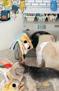 Buch  It’s Laundry Day Schnüffelspiel Hunde,Katzen