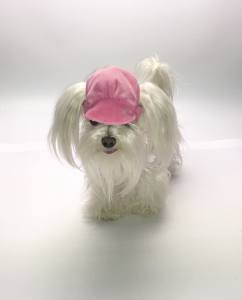 CAPPY -MÜTZE Hunde Mütze LADY