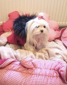 Super Dicke Winterjacke mit Fell PINK