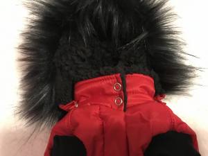 Dicke Hunde Winterjacke mit Fell RED